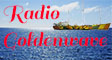 Afbeelding van logo Radio Goldenwave op radiotoppers.be.